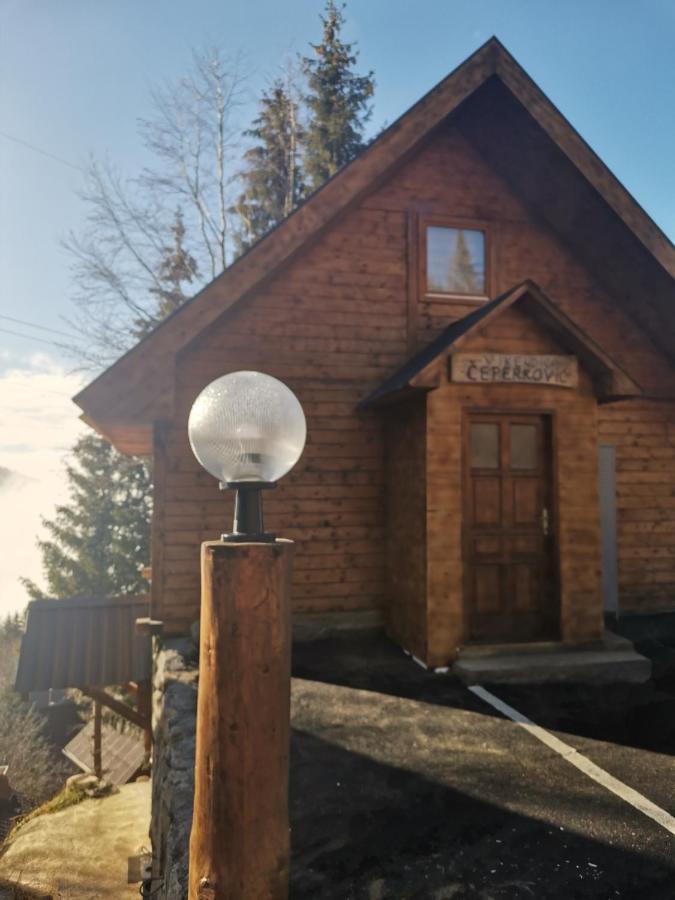 Villa Vikendica Ceperkovic #3 Kopaonik Esterno foto