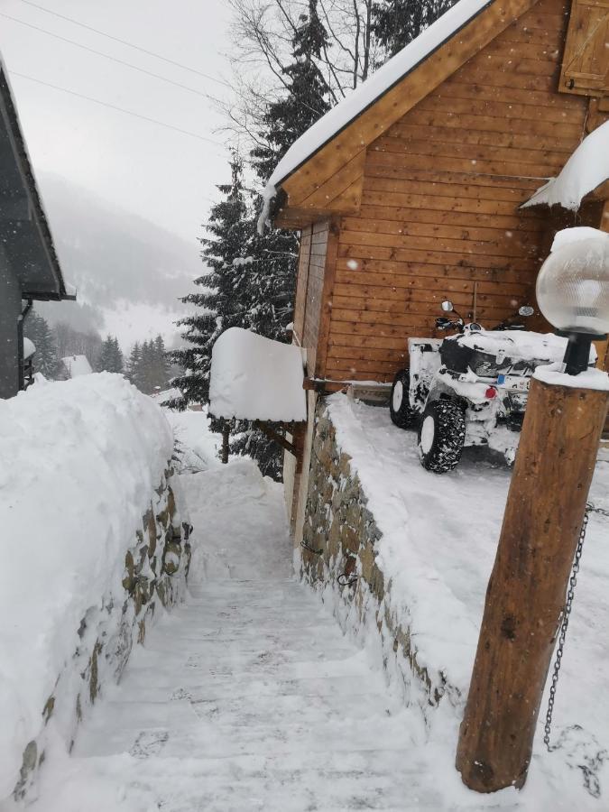 Villa Vikendica Ceperkovic #3 Kopaonik Esterno foto